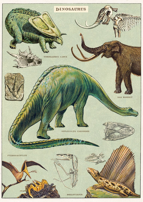 Cavallini Geschenkpapier/Poster Dinosaurus