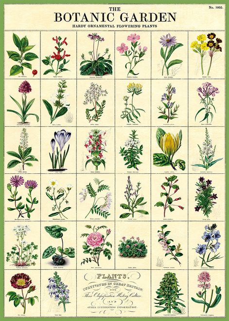 Cavallini Geschenkpapier/Poster The Botanic Garden
