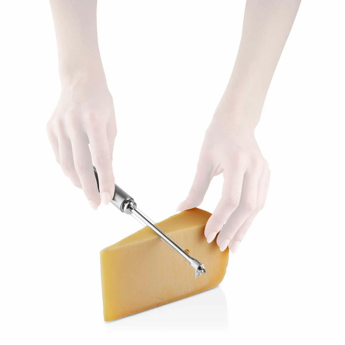 Eva Solo Käseschneider