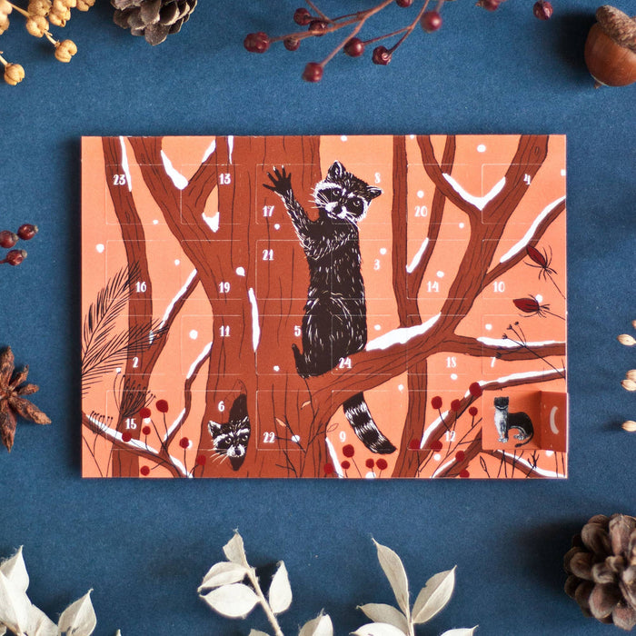 Adventskalender Postkarte Waschbären