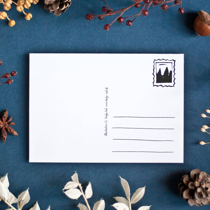 Adventskalender Postkarte Waschbären