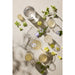 Lyngby Highball Palermo Gold - 50 cl