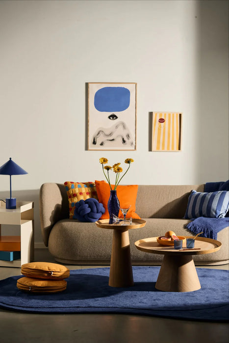 Loft Publications Vibrant Interiors