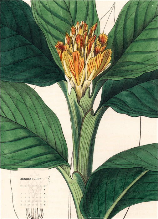 Botanicals Kalender 2027