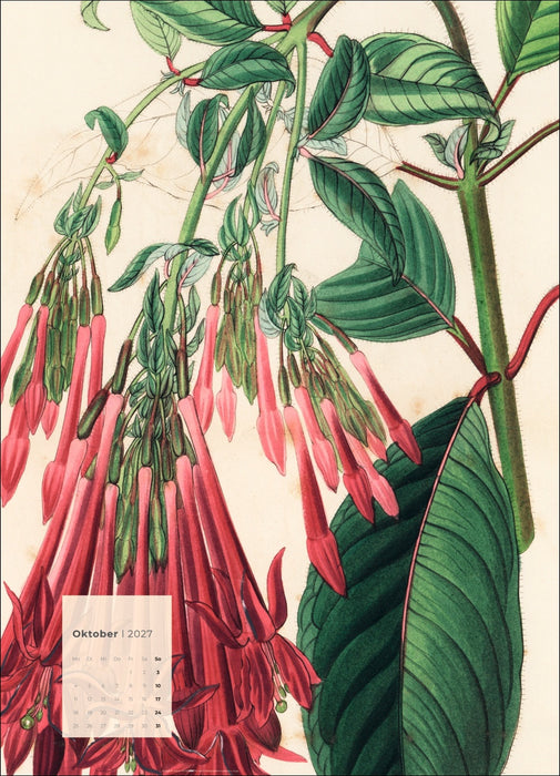 Botanicals Kalender 2027