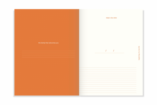 A-Journal Nine Months Journal