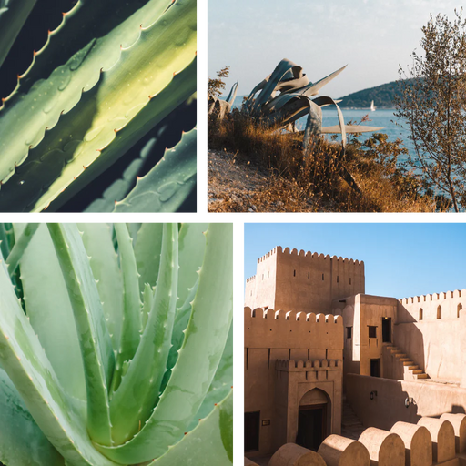 Better By Less Pulver Schaumseife / Handseife - Aloe Kick 