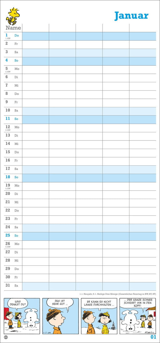 Athesia Peanuts Familienplaner 2026