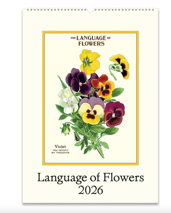 Cavallini Wandkalender - 2026