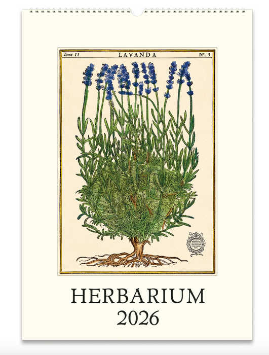 Cavallini Wandkalender - 2026