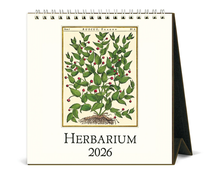 Cavallini Tischkalender 2026