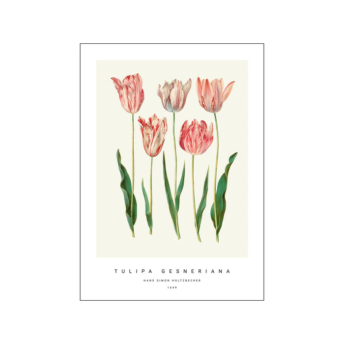 PSTR - Botanical I