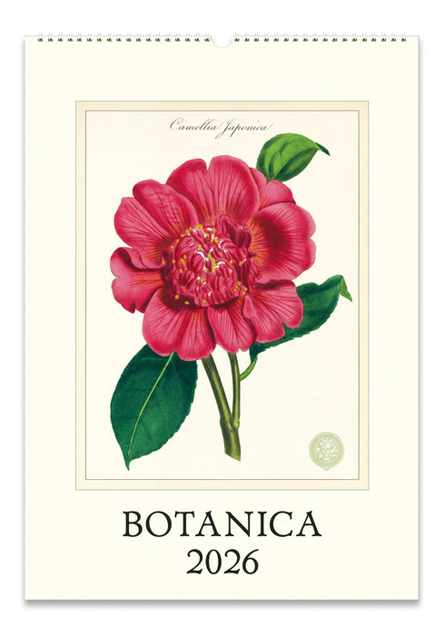 Cavallini Wandkalender - 2026