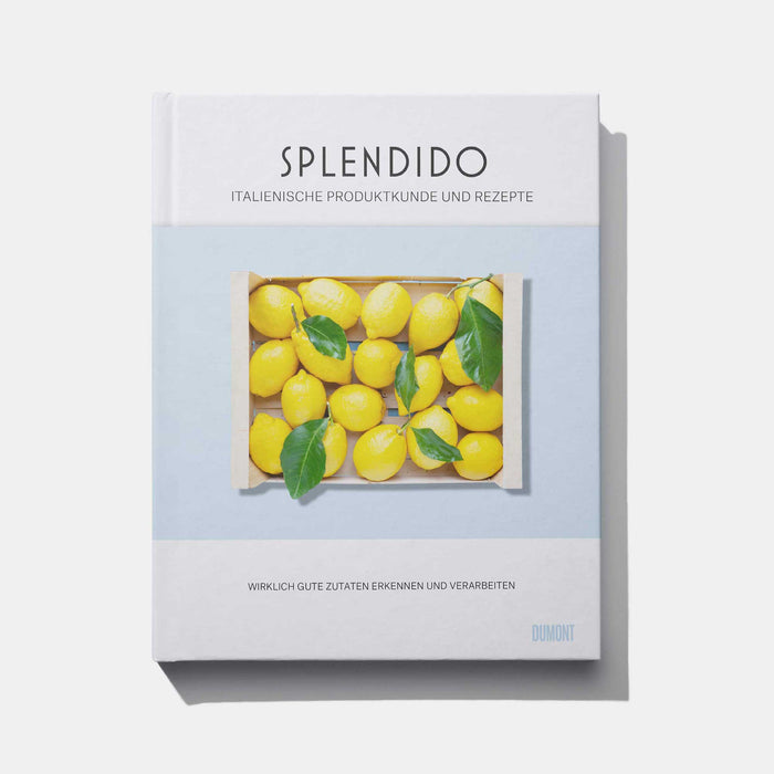 DT Collection SPLENDIDO II