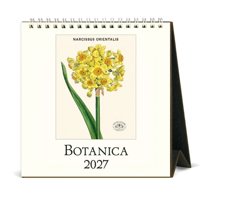 Cavallini Tischkalender 2027