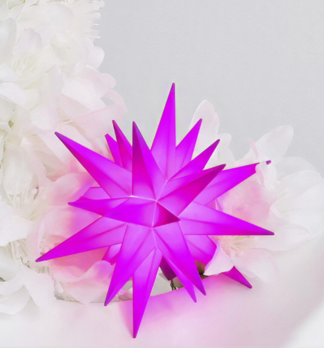 Herrnhuter Sonderedition 2025 Miniaturstern - Violett