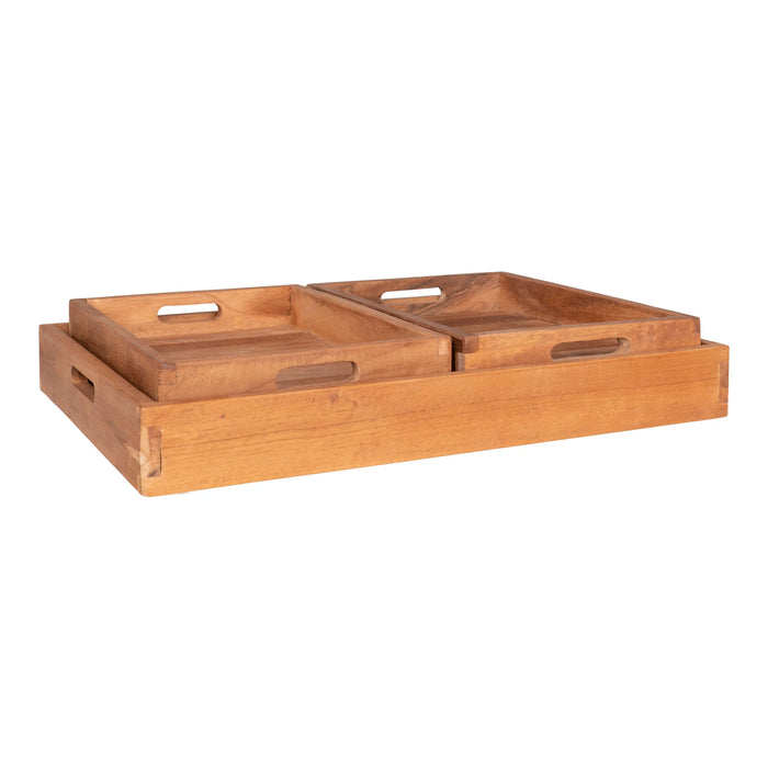 Faro Tray