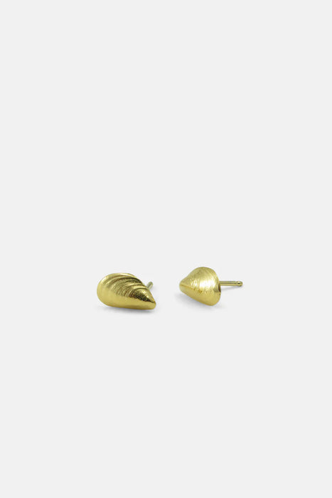 Mussel Ohrringe - Gold