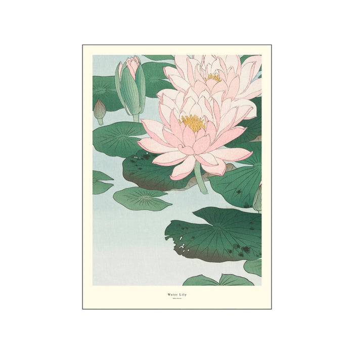Print - A.P Atelier Water Lily