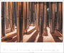 Weingarten Architecture in Music Kalender - 2027