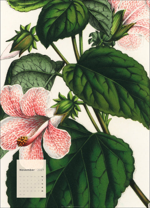 Weingarten Botanicals Kalender - 2027