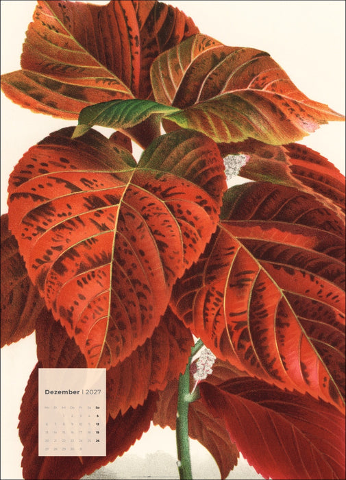 Weingarten Botanicals Kalender - 2027