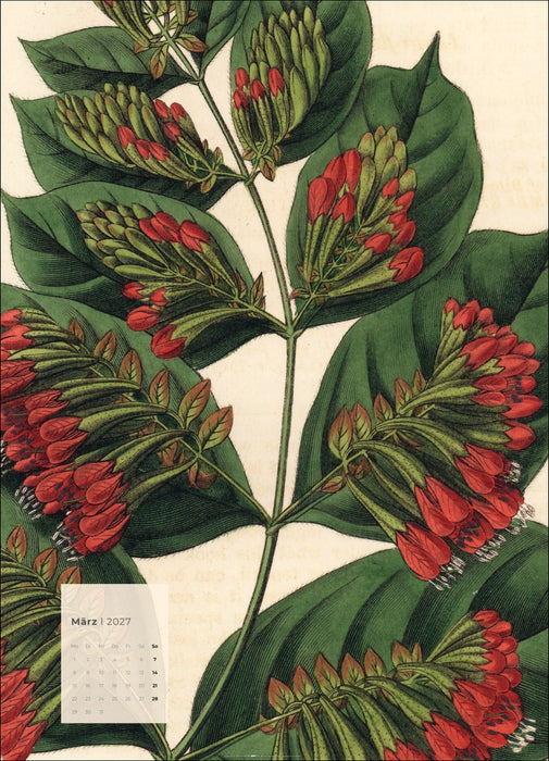 Weingarten Botanicals Kalender - 2027