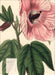 Weingarten Botanicals Kalender - 2027