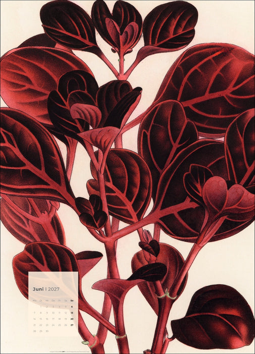 Weingarten Botanicals Kalender - 2027