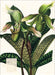 Weingarten Botanicals Kalender - 2027