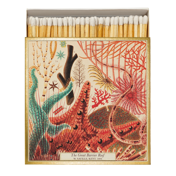 Streichhölzer - Matches