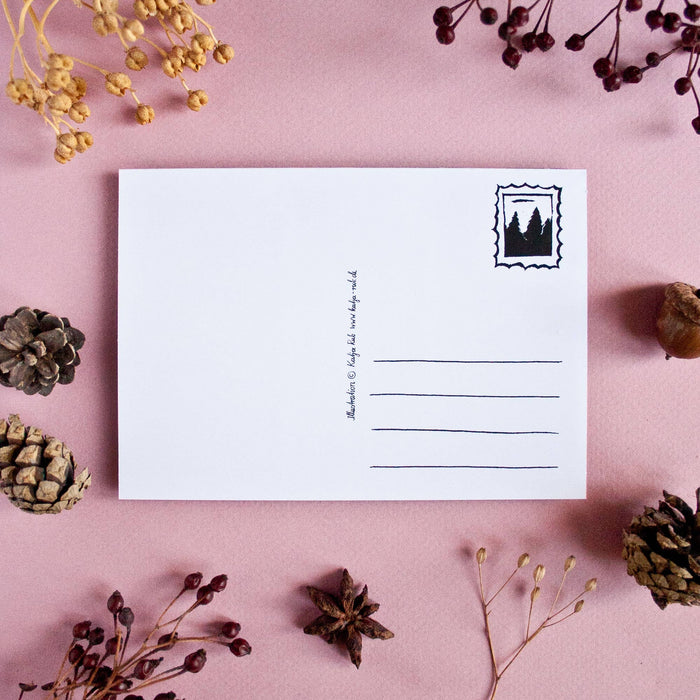 Adventskalender Postkarte Waschbären