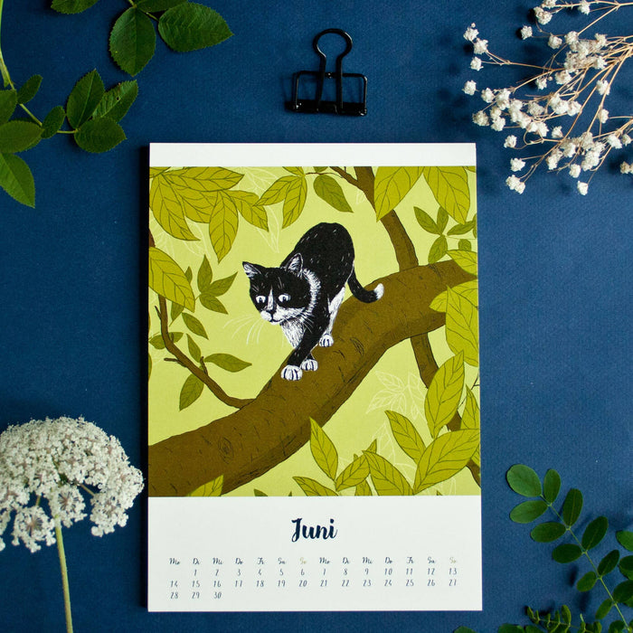 Katzen - Katja Rub Kalender 2027