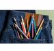 Caran d’Ache Paul Smith Set - 12 Farbstifte Bicolor & 1 Pinsel 