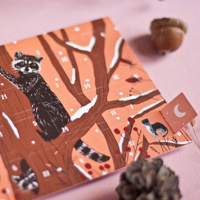 Adventskalender Postkarte Waschbären