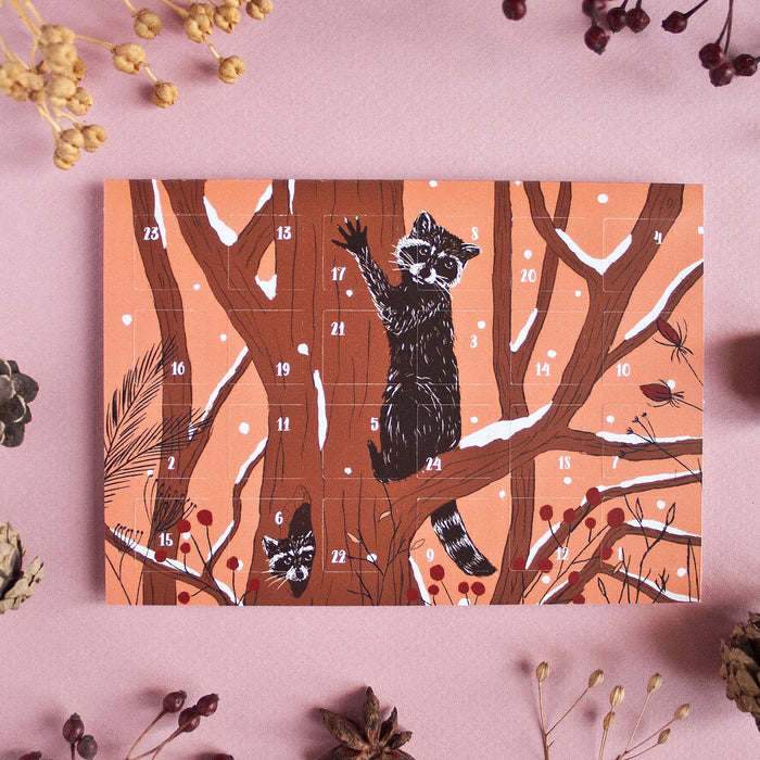 Adventskalender Postkarte Waschbären