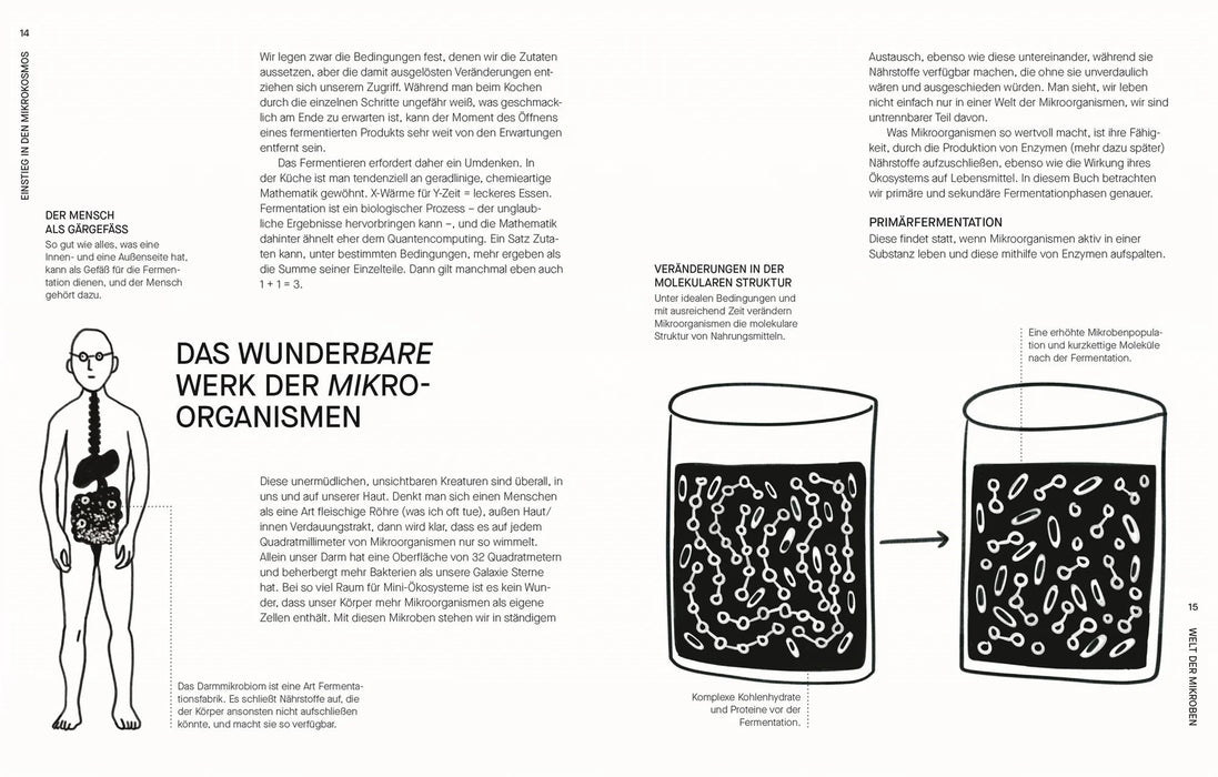DK Verlag Fermentieren - Rezepte und Techniken für Geschmack, den man nicht kaufen kann - Sam Cooper