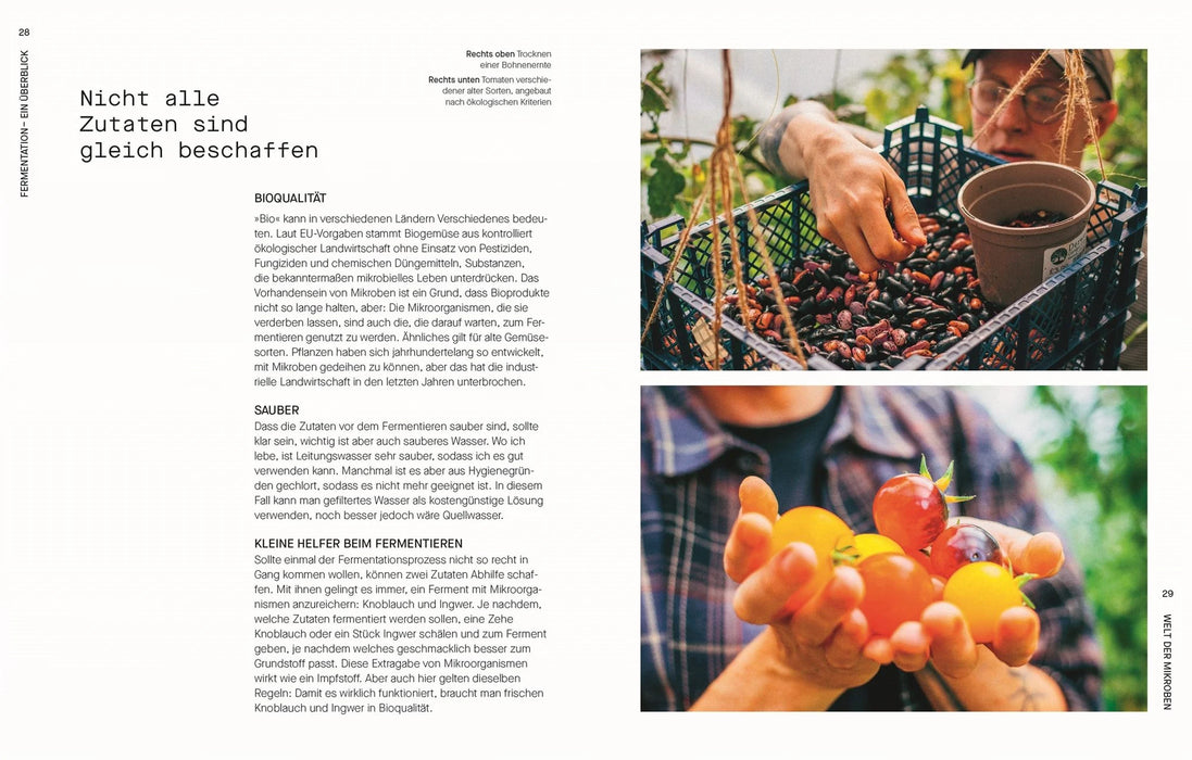 DK Verlag Fermentieren - Rezepte und Techniken für Geschmack, den man nicht kaufen kann - Sam Cooper