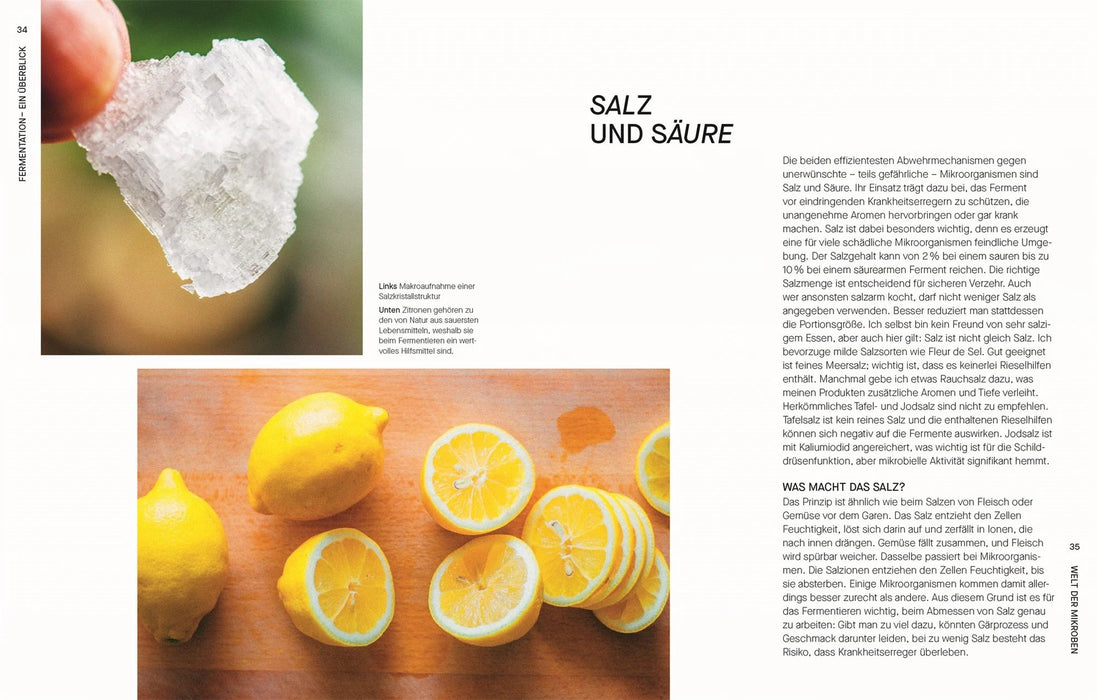 DK Verlag Fermentieren - Rezepte und Techniken für Geschmack, den man nicht kaufen kann - Sam Cooper