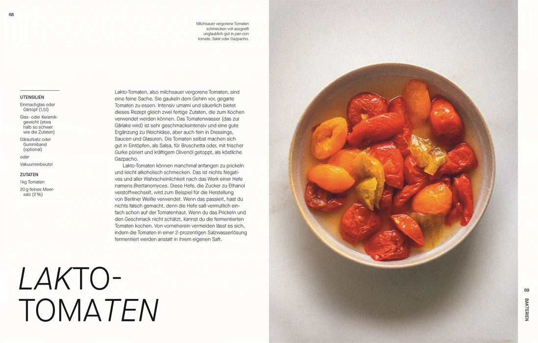 DK Verlag Fermentieren - Rezepte und Techniken für Geschmack, den man nicht kaufen kann - Sam Cooper