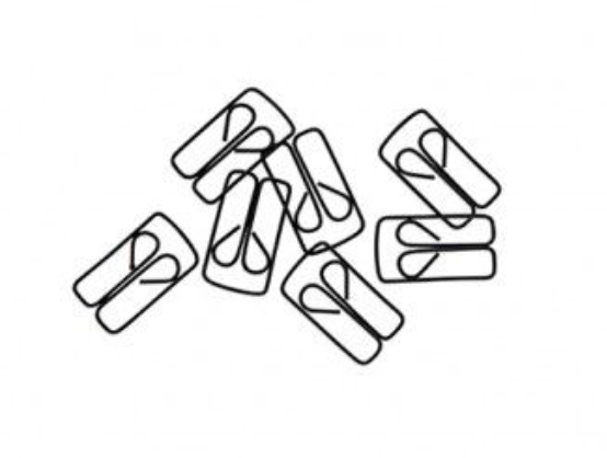Nomess Paperclips Art