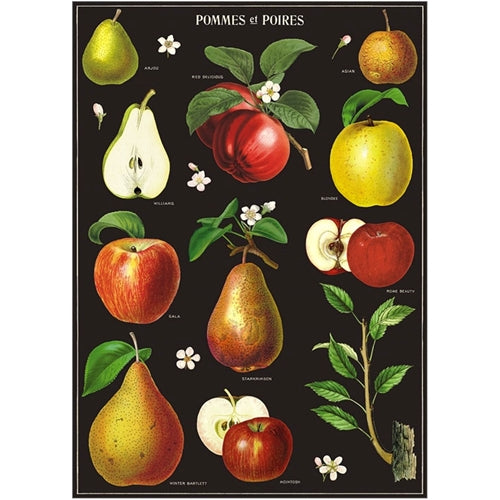 Cavallini Geschenkpapier/Poster Pommes et Poires