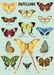 Cavallini Geschenkpapier/Poster Papillons