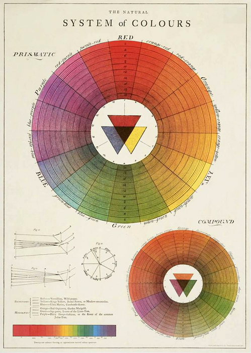 Cavallini Geschenkpapier/Poster The Natural System of Colours