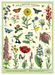 Cavallini Geschenkpapier/Poster Pollinator Garden