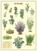 Cavallini Geschenkpapier/Poster Aux Fines Herbes