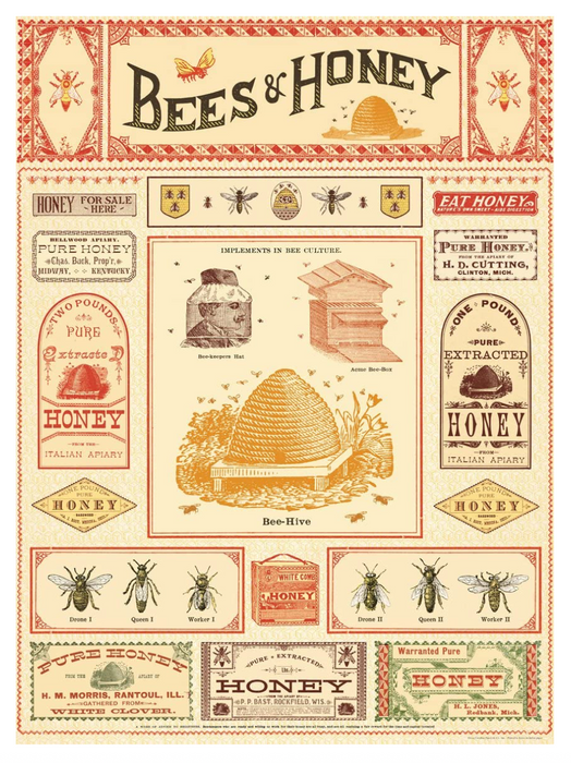 Cavallini Geschenkpapier/Poster Bees & Honey