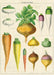 Cavallini Geschenkpapier/Poster Legumes du Jardin