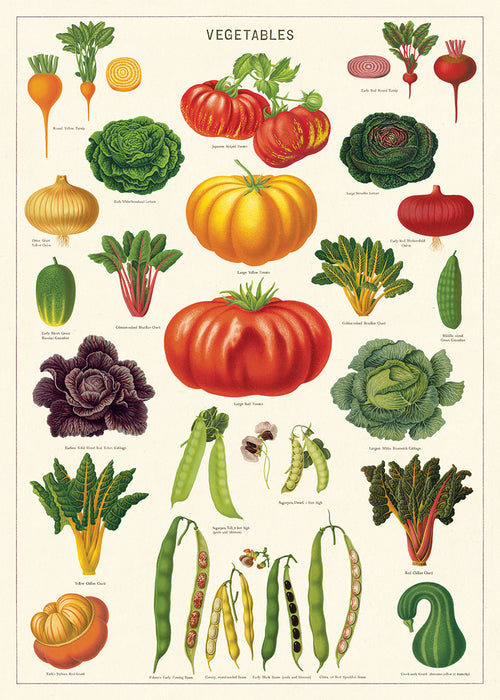 Cavallini Geschenkpapier/Poster Vegetables